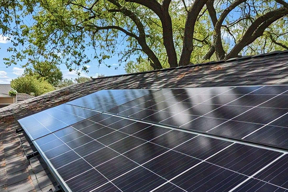 Tree Shades: A Hidden Threat to Your Solar Plant